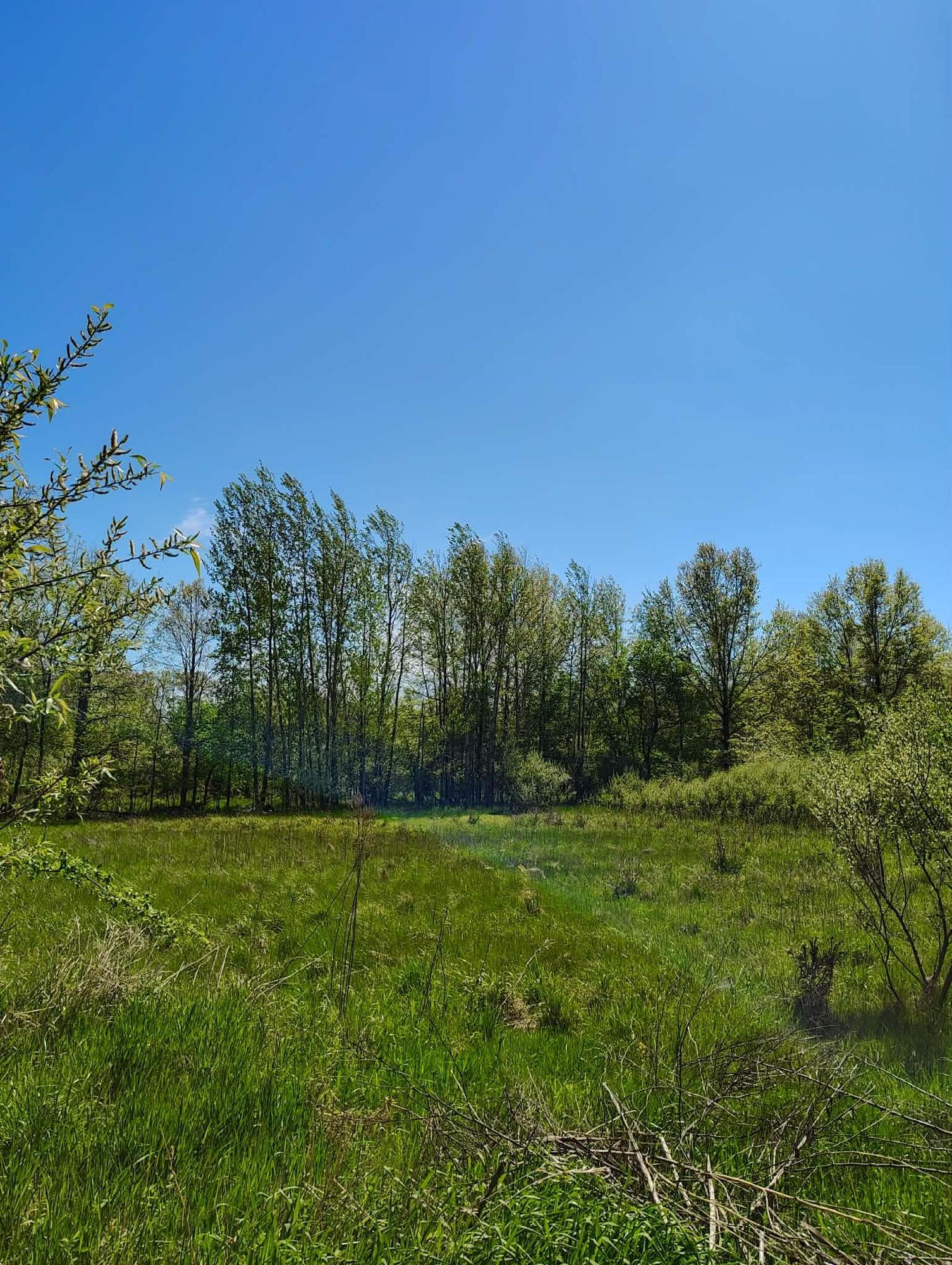 8602 S Fordney Rd, image 22